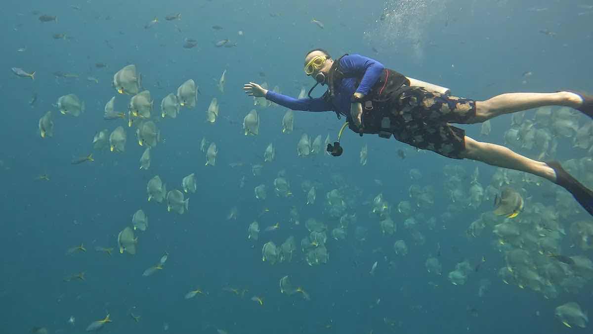 RenYu Diving photo 2