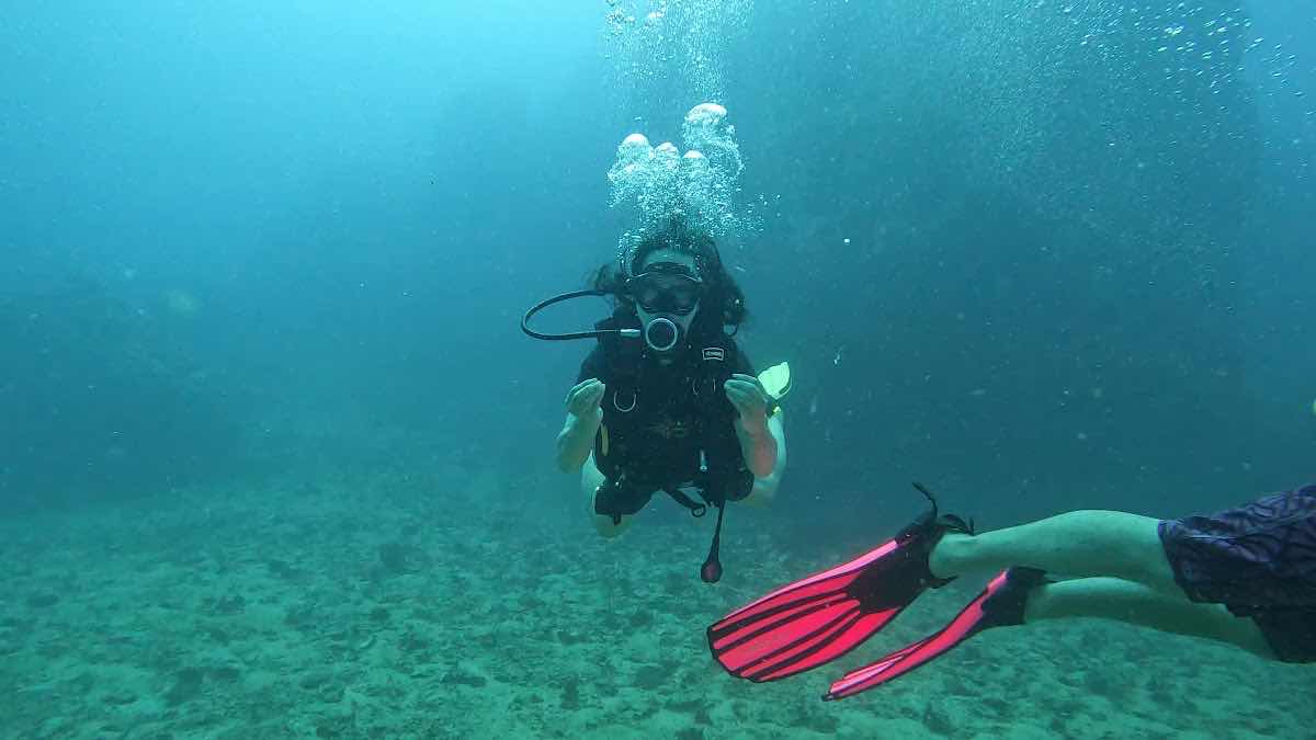 RenYu Diving photo 3