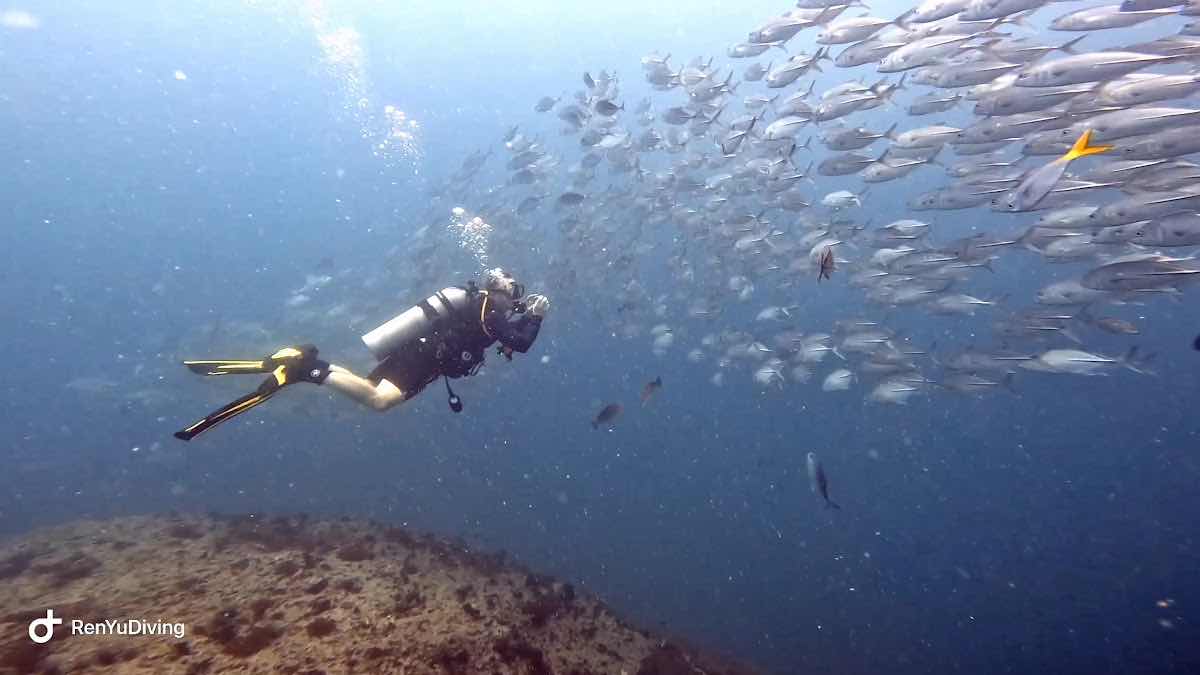 RenYu Diving photo 8