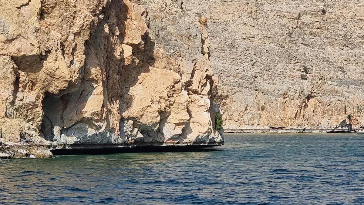 الغواصين خليج زيغي photo 8
