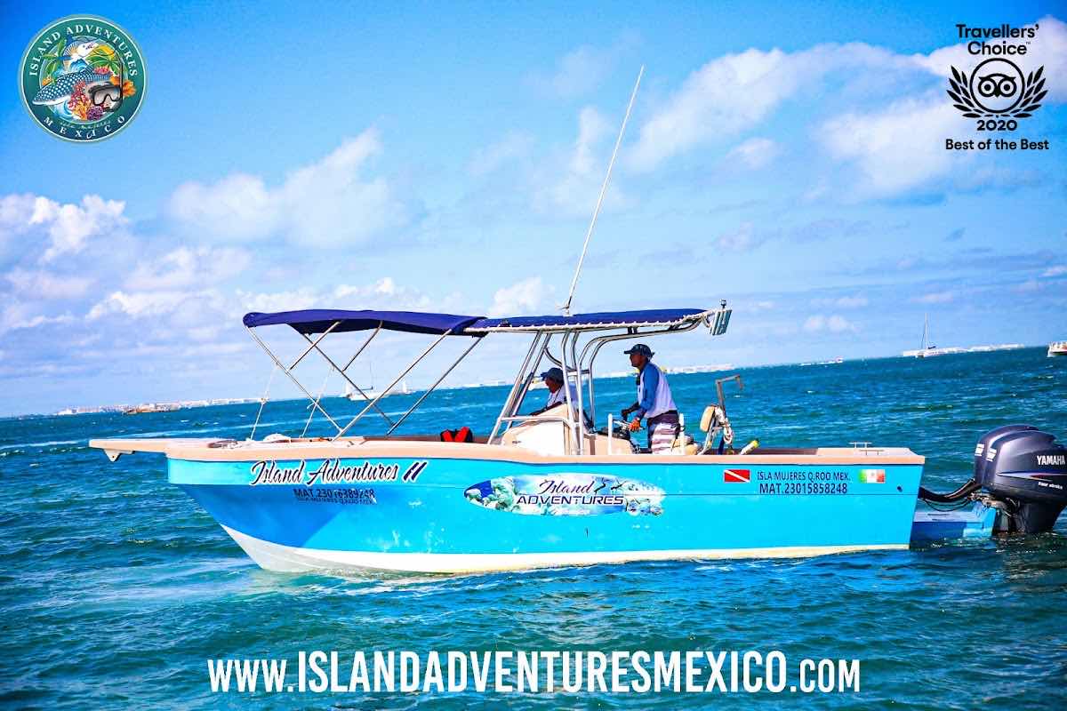 WILD Connection Isla Mujeres photo 5
