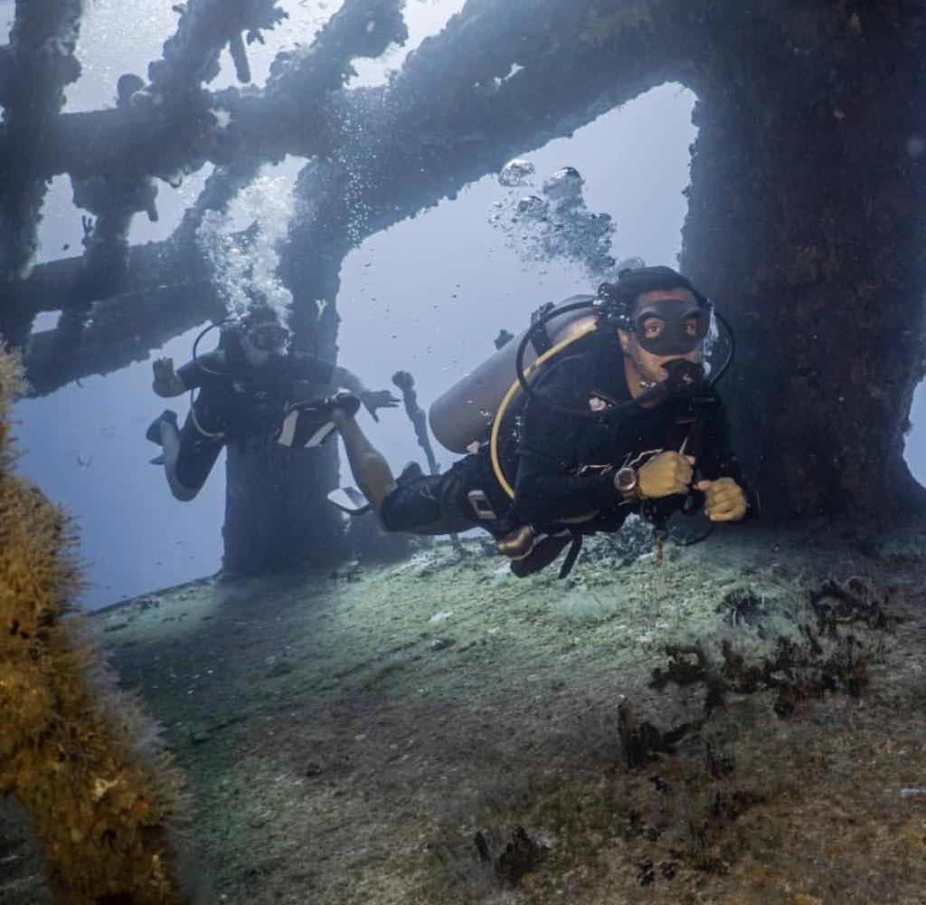 WILD Connection Isla Mujeres photo 6