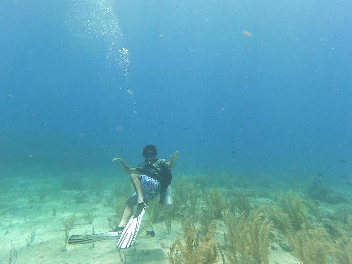 WILD Connection Isla Mujeres photo 7