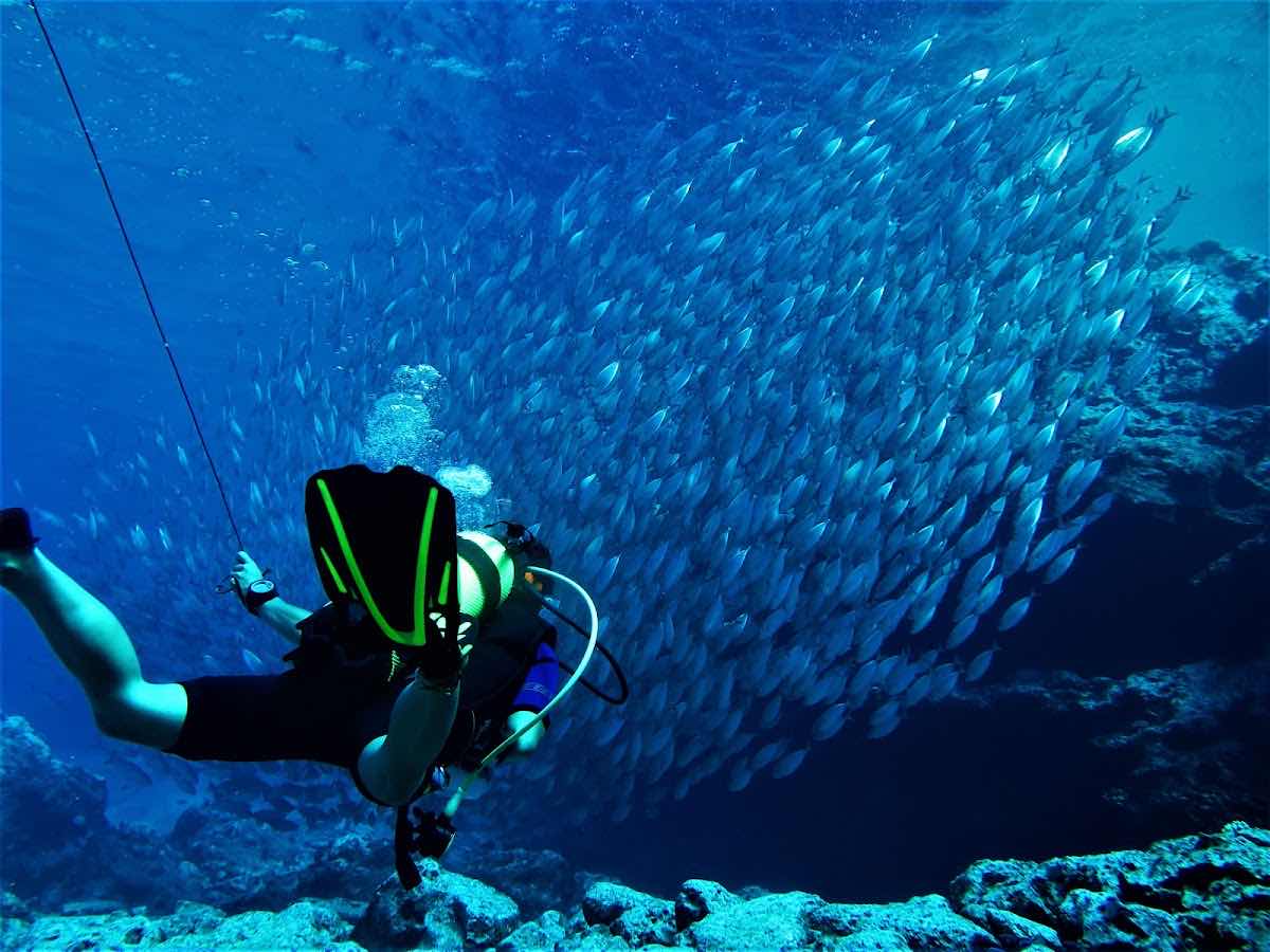 Magical Niue Sea Adventures - Scuba Diving photo 8