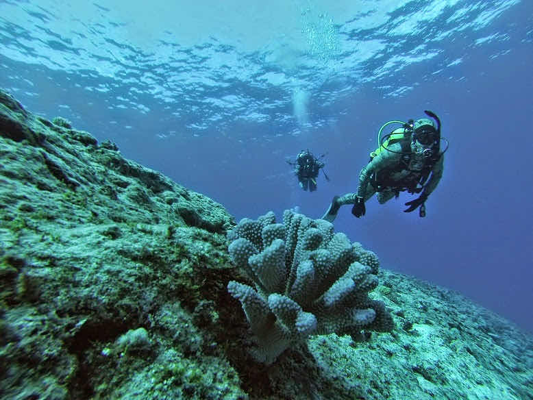 Magical Niue Sea Adventures - Scuba Diving photo 9