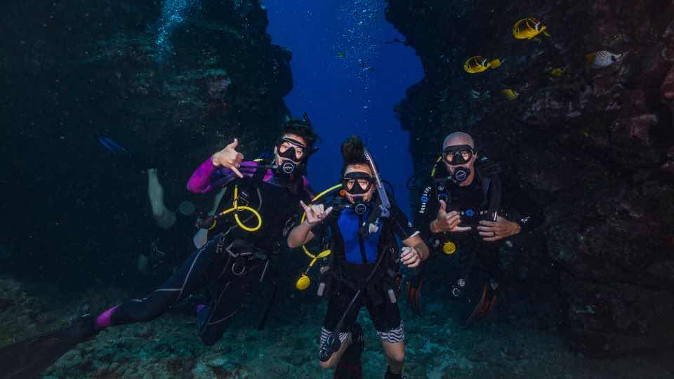 Destination Diving and Snorkel Maui photo 6