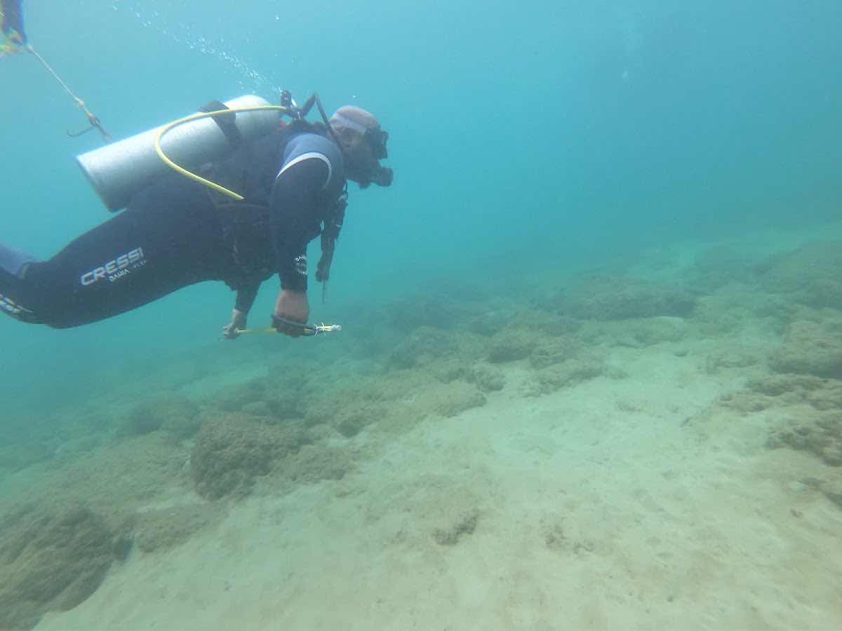 Undersea Tobago photo 7