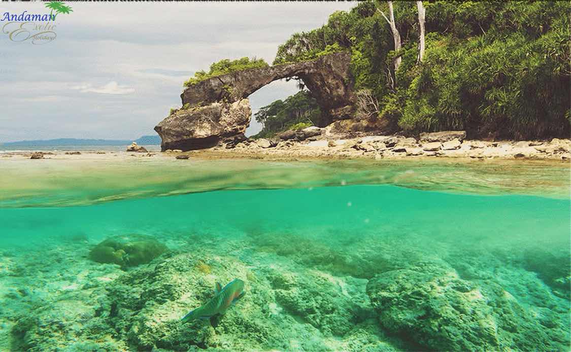 Andaman Tourister photo 6