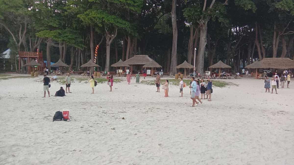 Andaman Tourister photo 7