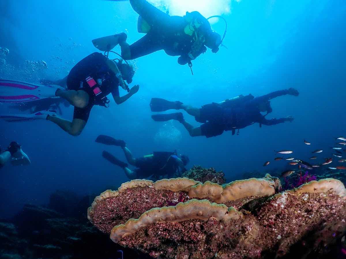 Neptune Dive Centre Musandam photo 2