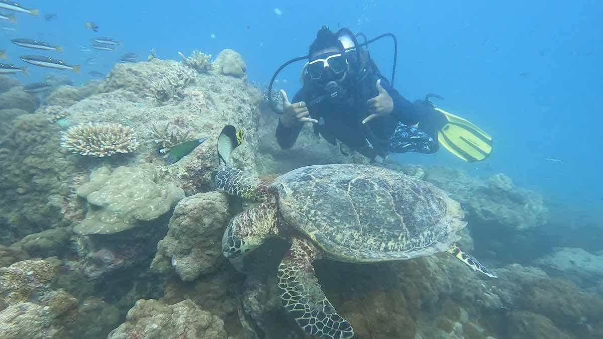 SANTOSH DIVE CLUB photo 2