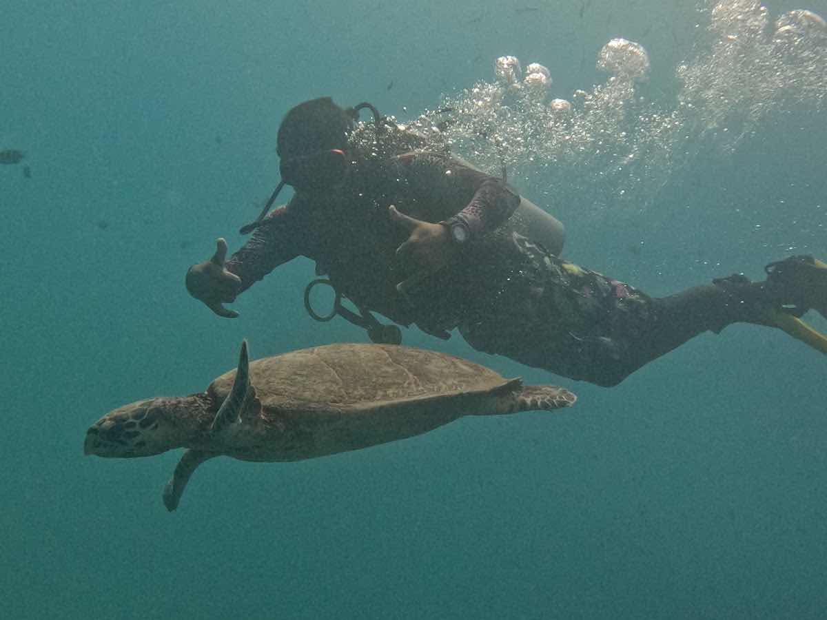 SANTOSH DIVE CLUB photo 7