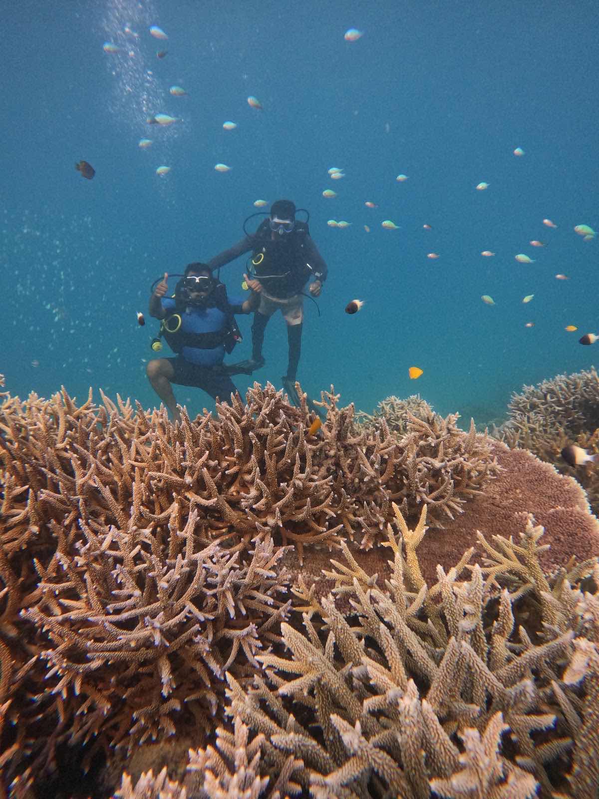 SANTOSH DIVE CLUB photo 8