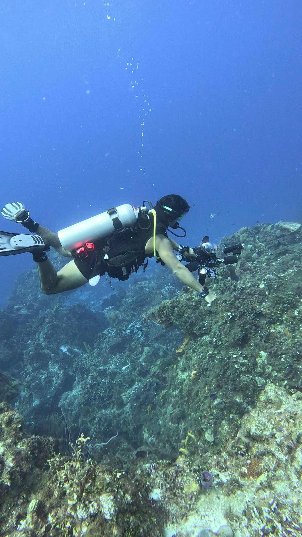 CoKo Divers photo 7