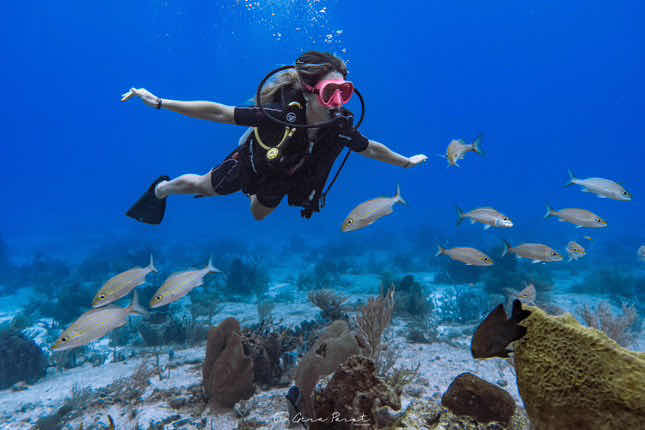CoKo Divers photo 9