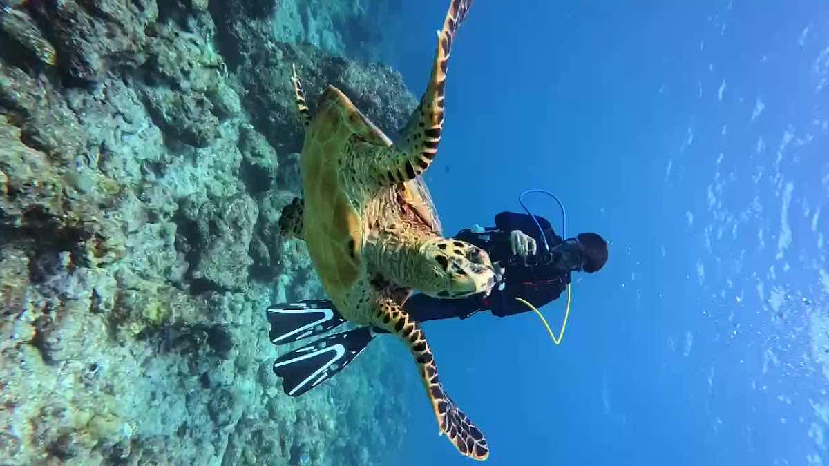 OK Maldives photo 9