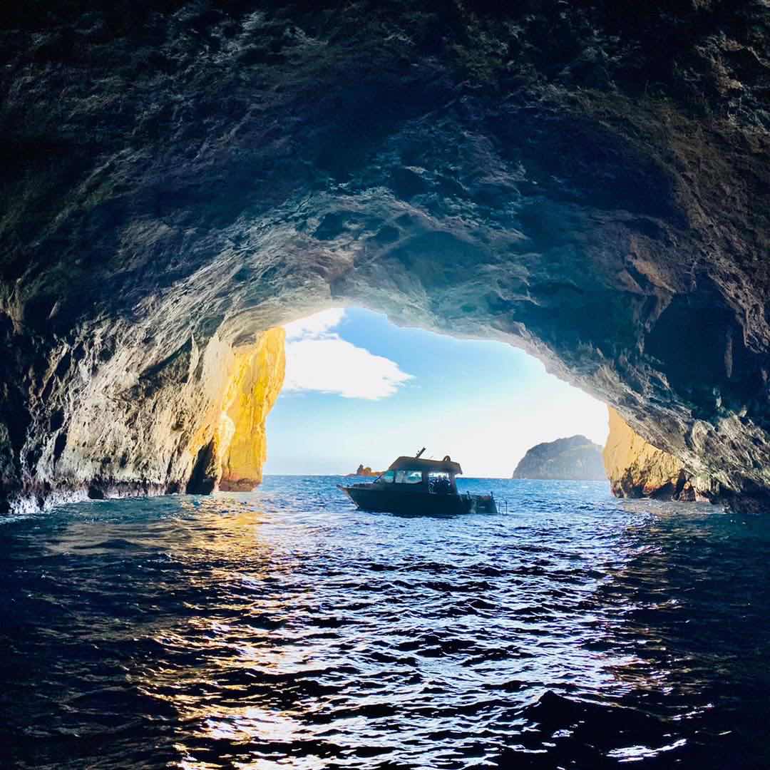 Freedive Aotearoa photo 3