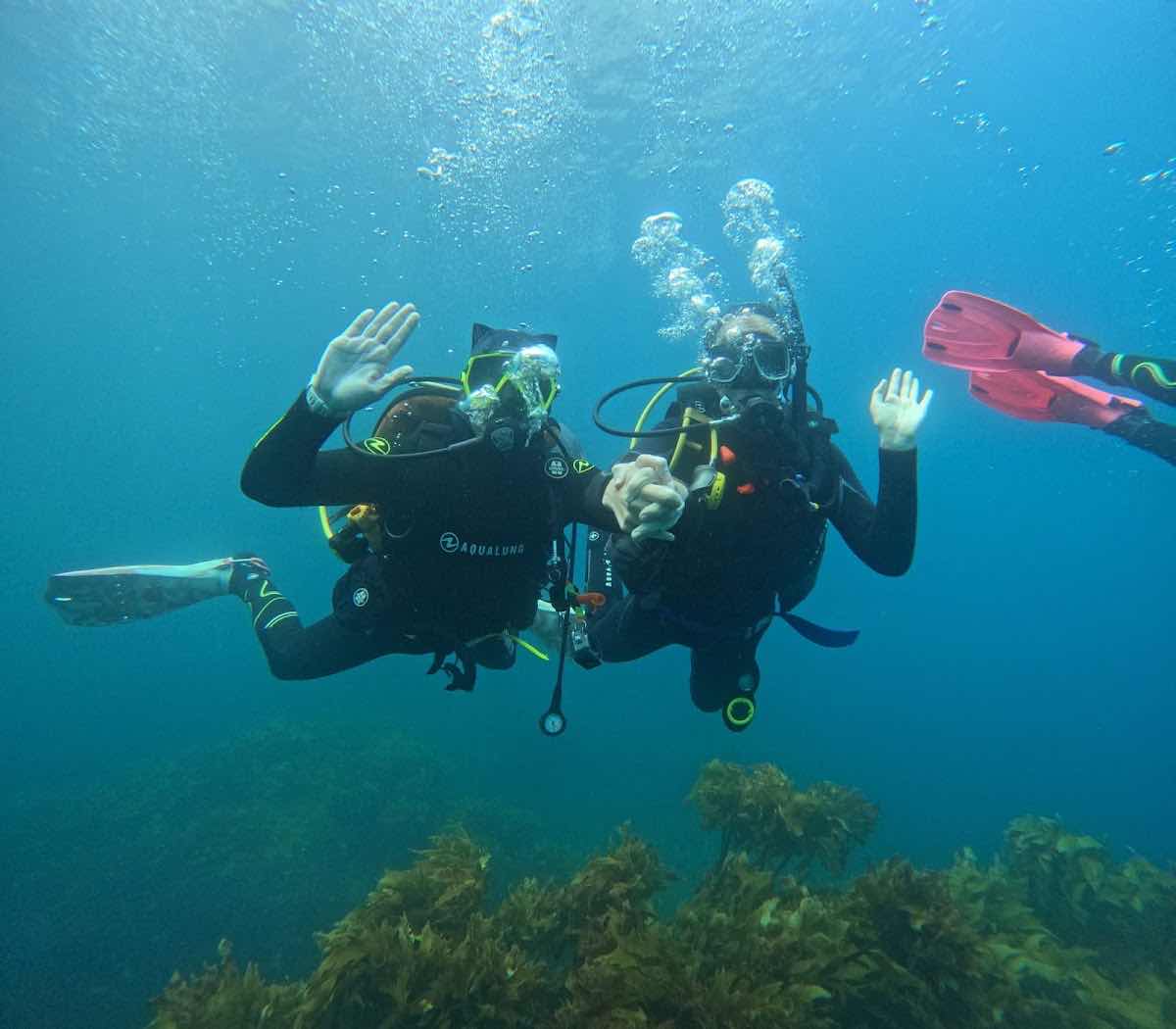 Freedive Aotearoa photo 5