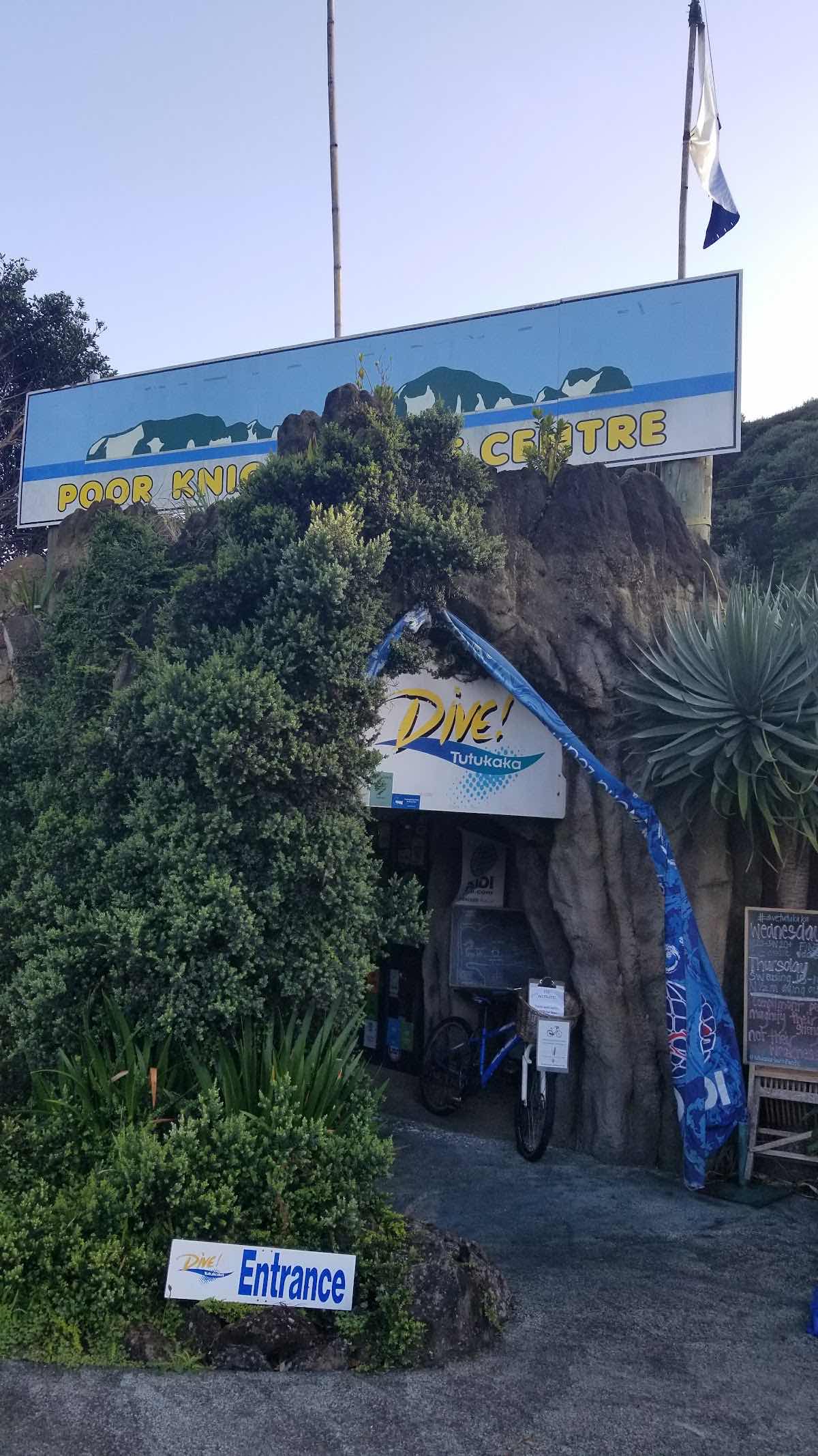 Freedive Aotearoa photo 6