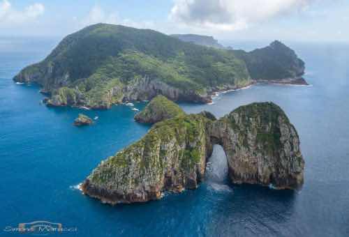 Freedive Aotearoa photo 9
