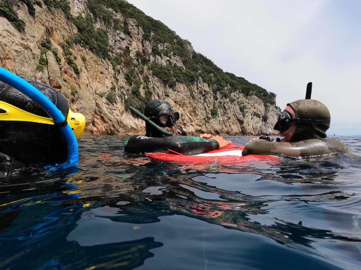 Freedive Aotearoa photo 10