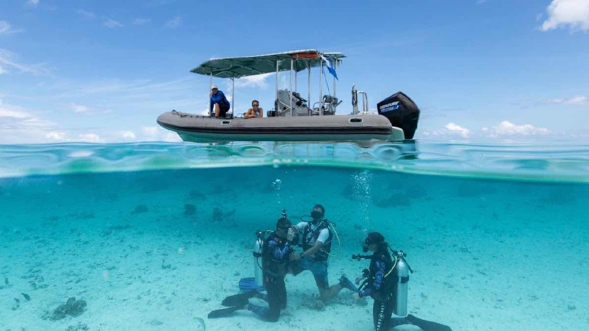 BORA BORA DIVEASY photo 4