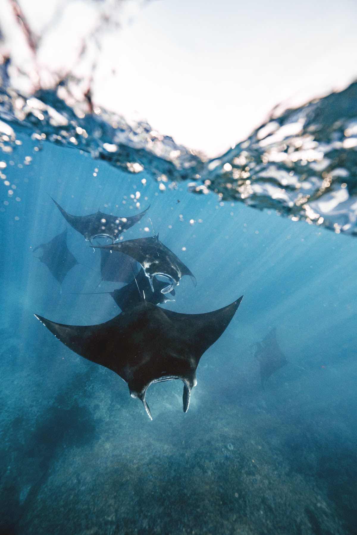 Legend Diving Komodo photo 1