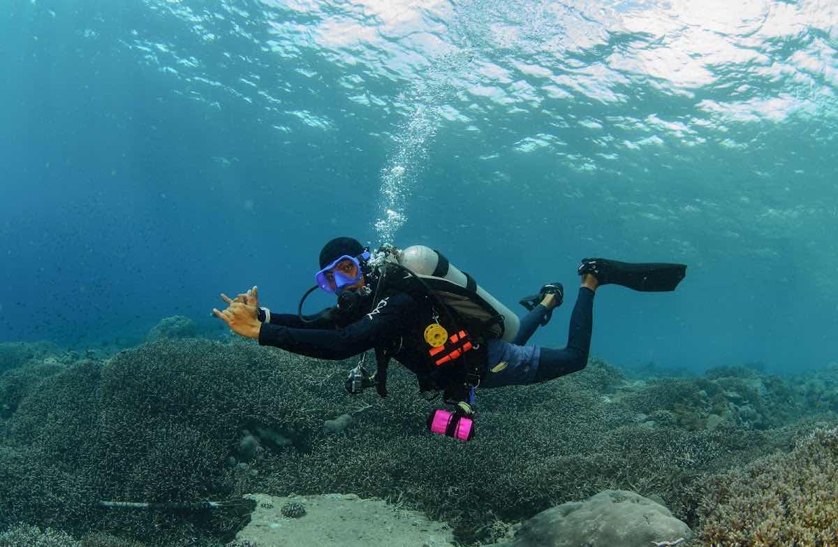 Legend Diving Komodo photo 4