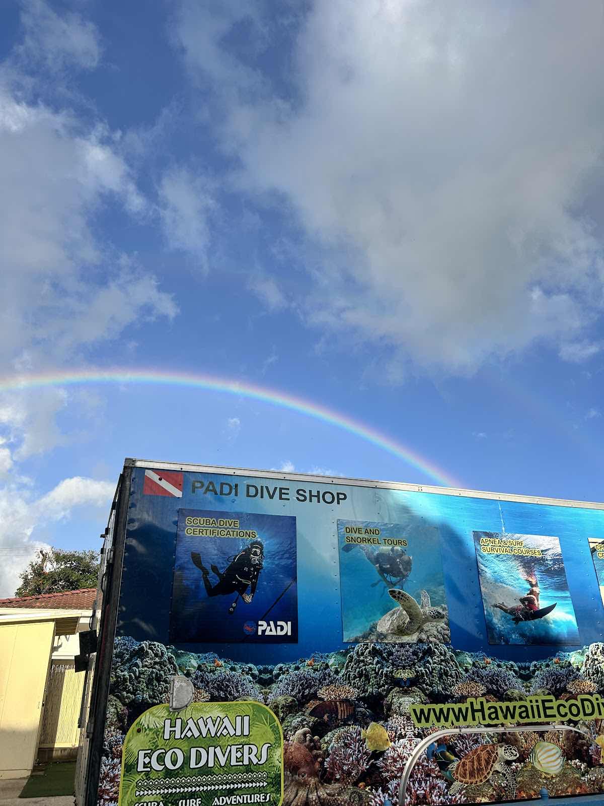 Snorkel And Dive Hawaii photo 5