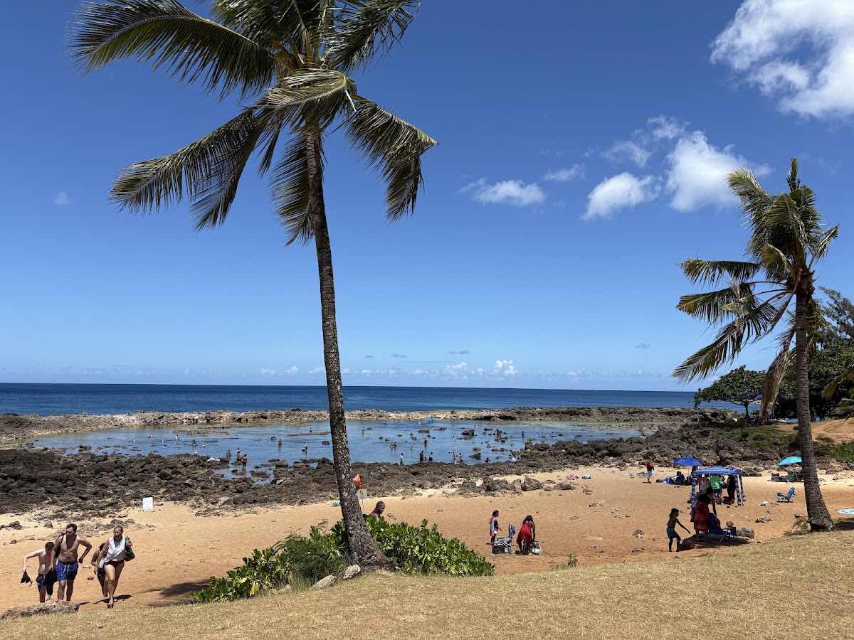 Snorkel And Dive Hawaii photo 6