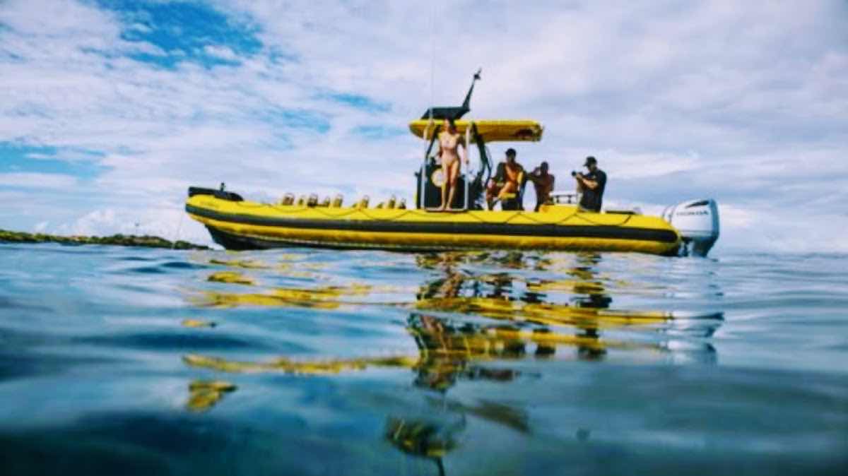 Snorkel And Dive Hawaii photo 8