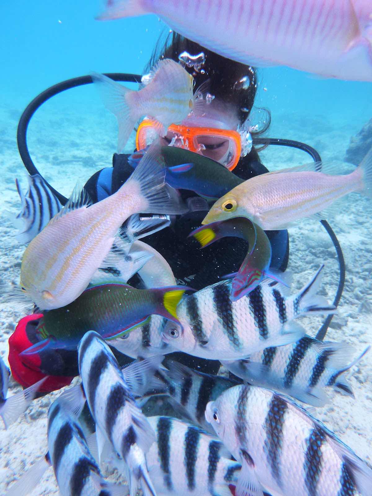 Lapice Marine Sports photo 6