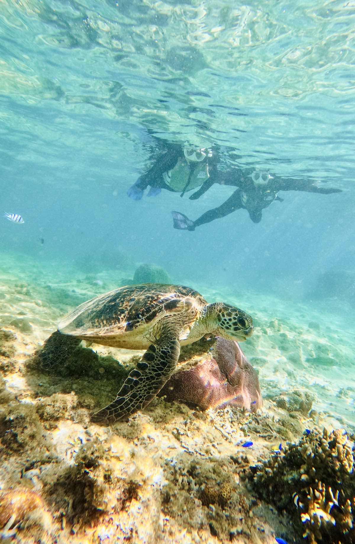 Lapice Marine Sports photo 8