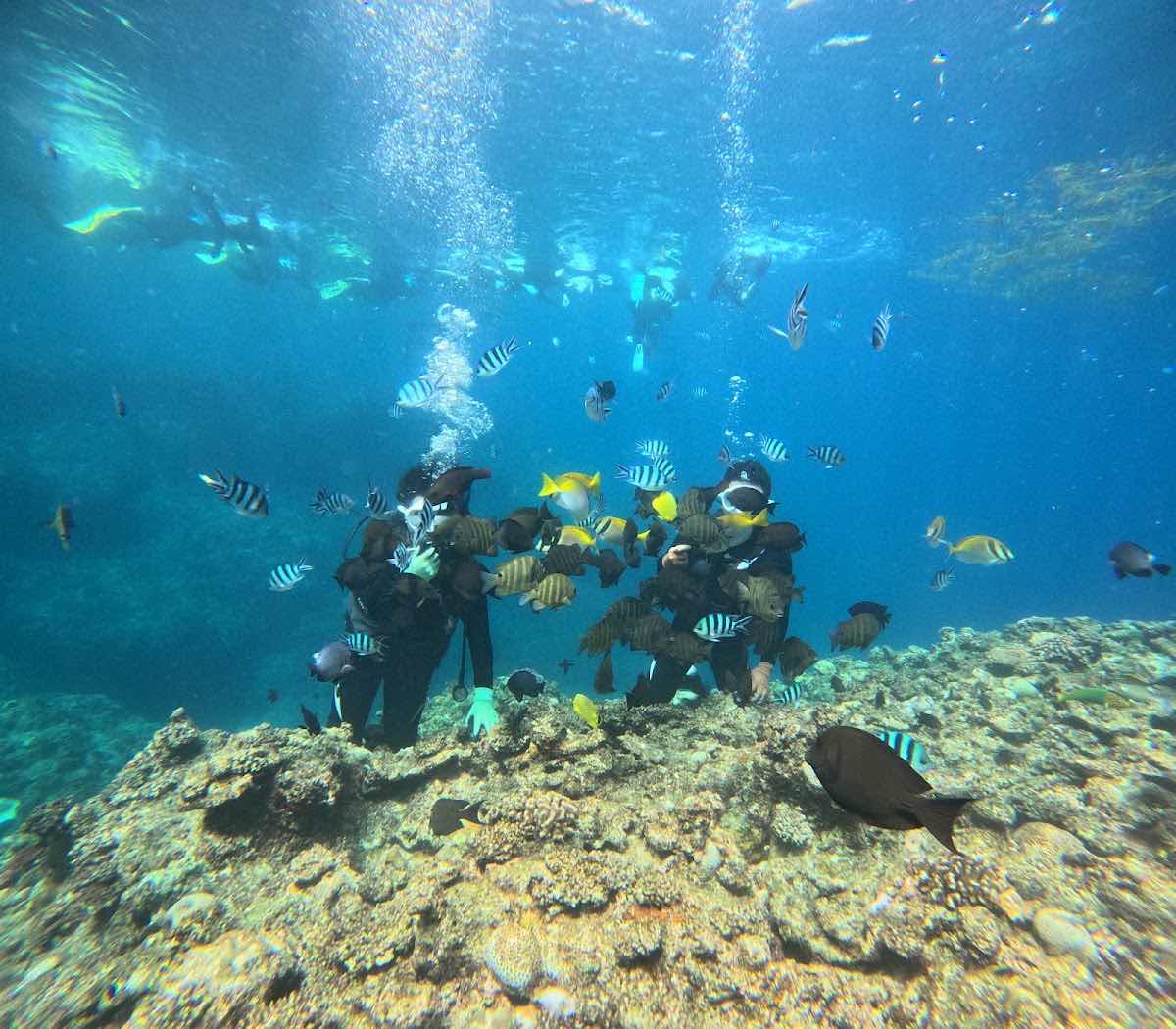 Lapice Marine Sports photo 10