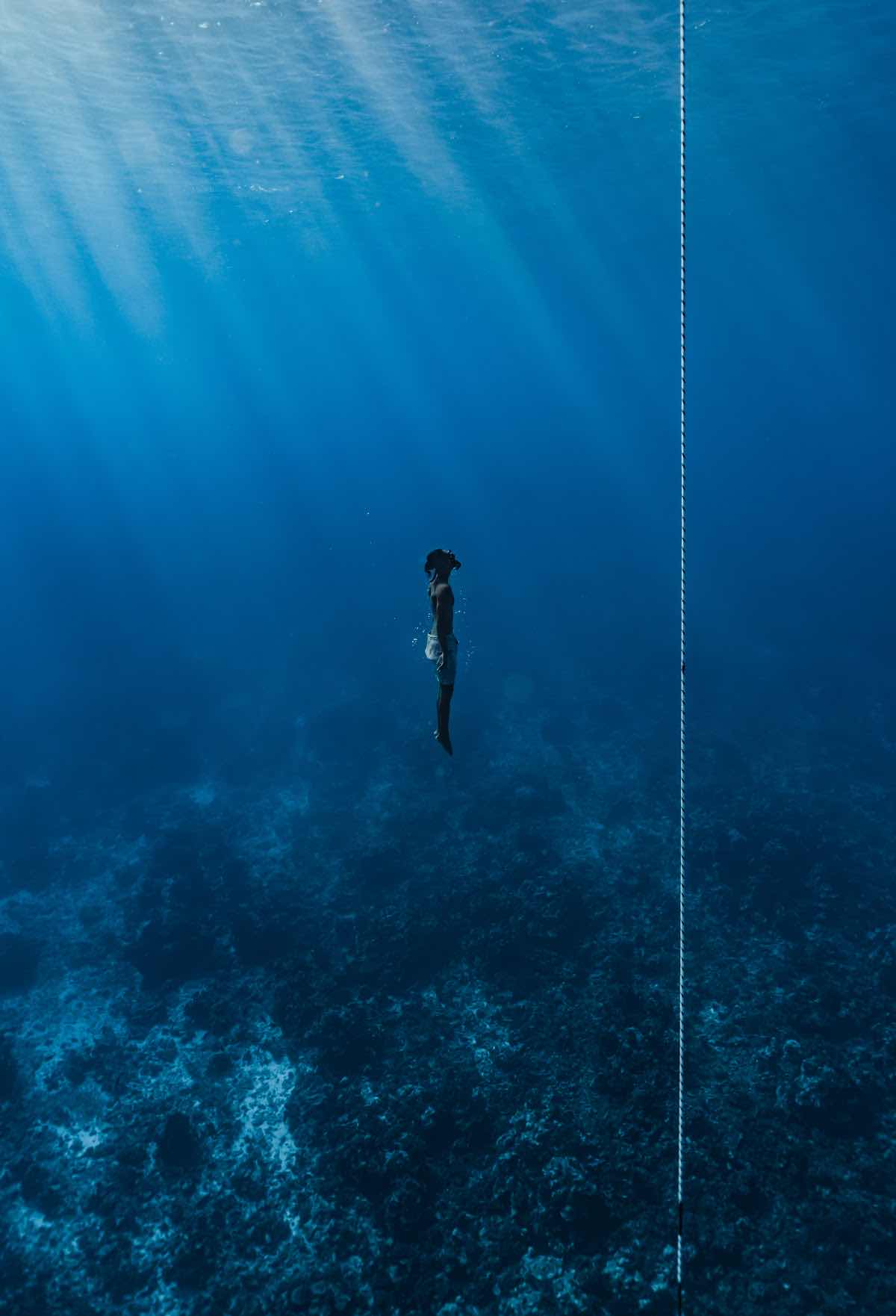 Soul & Sea Freediving photo 1
