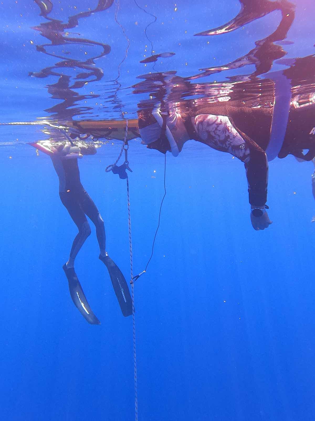 Soul & Sea Freediving photo 2