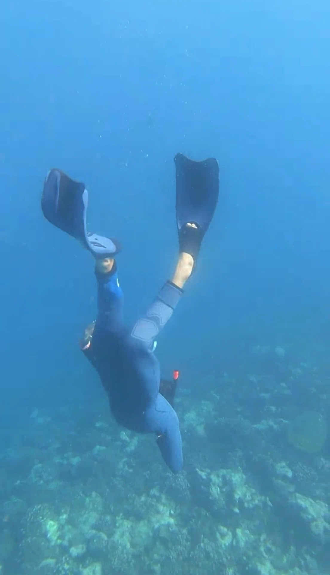 Soul & Sea Freediving photo 3