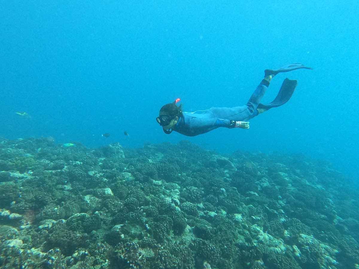 Soul & Sea Freediving photo 5