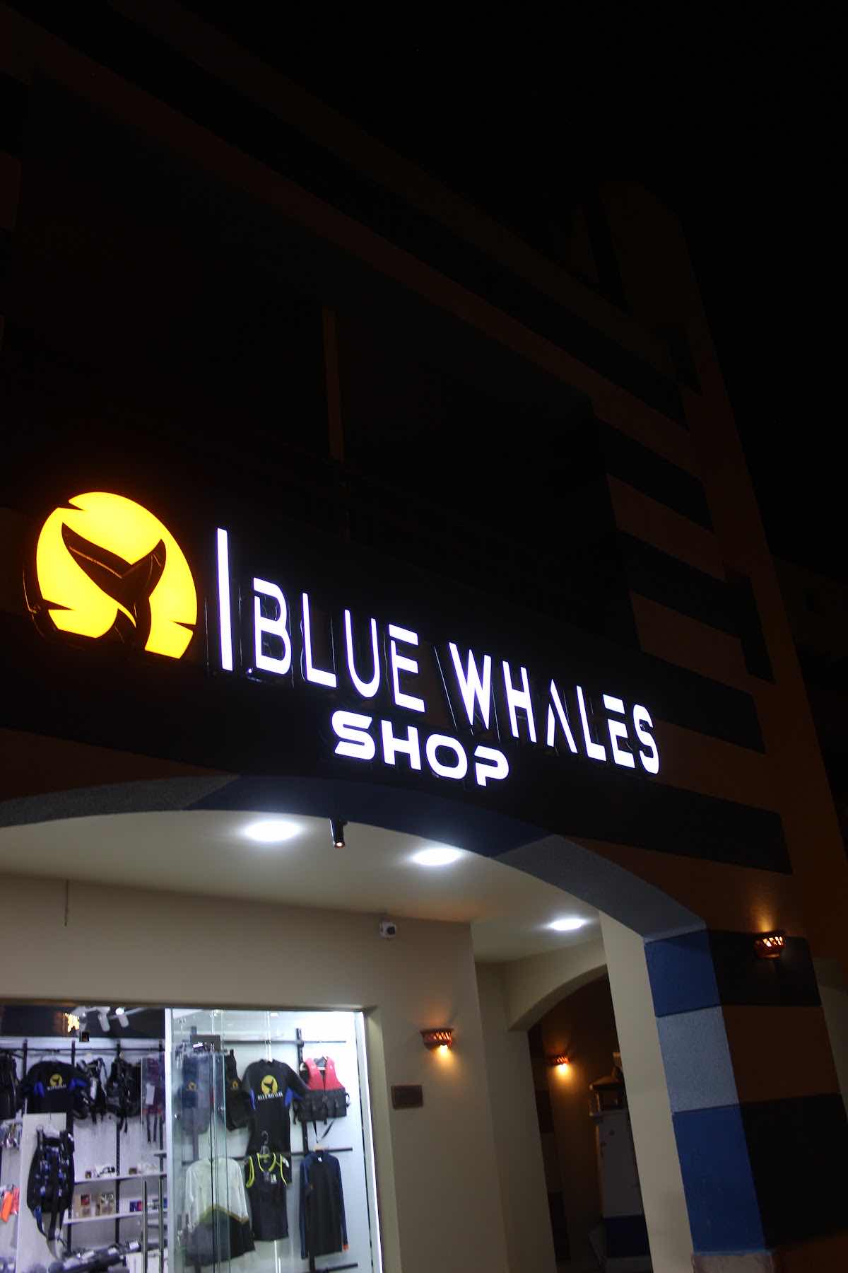 Blue Whales photo 1