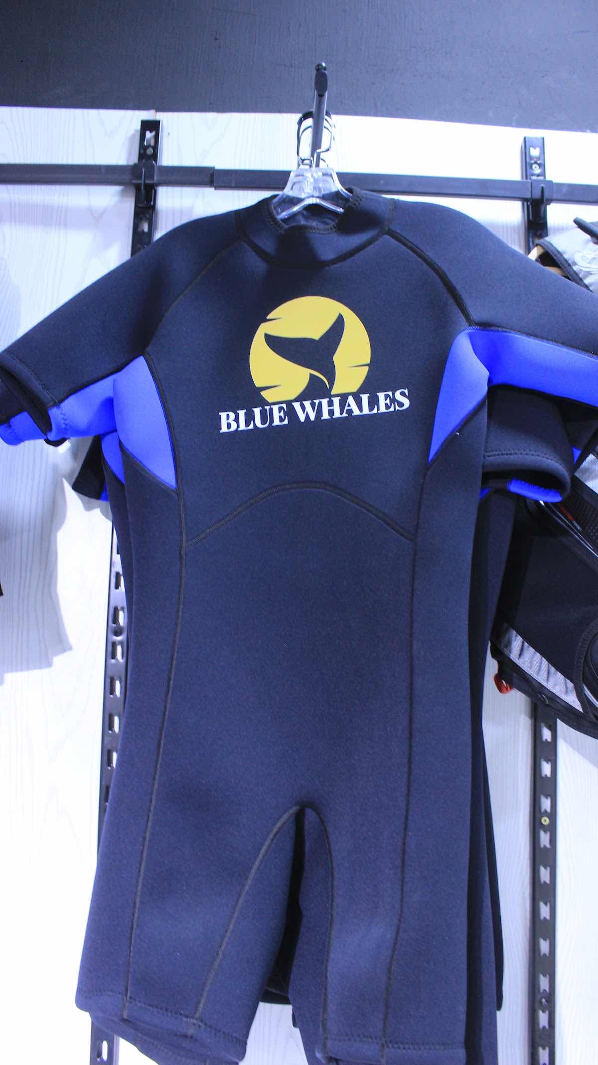 Blue Whales photo 4