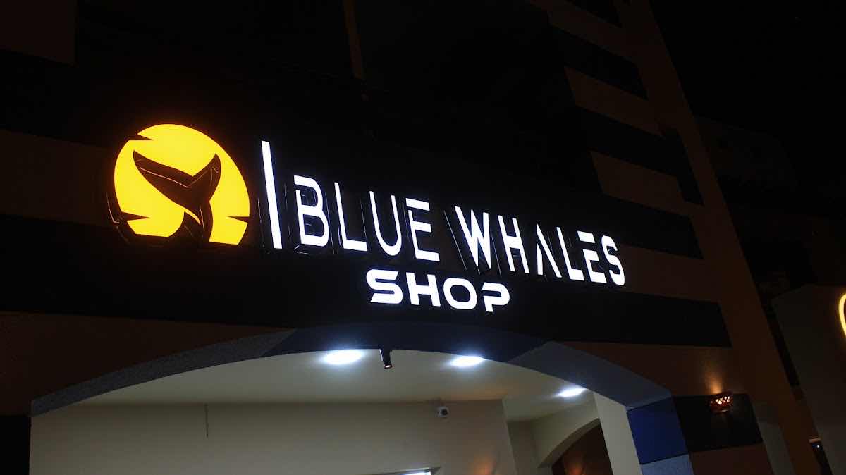 Blue Whales photo 5