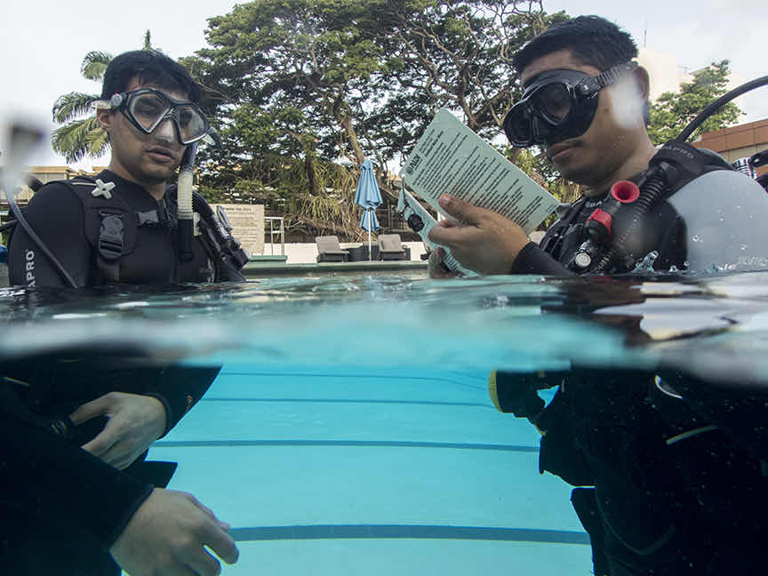 The Dive Tribe Limited photo 2