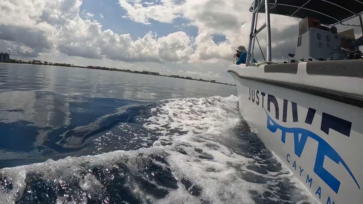 Just Dive photo 3