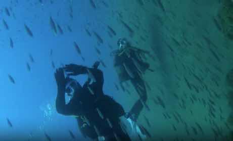 Chill Out Divers photo 2