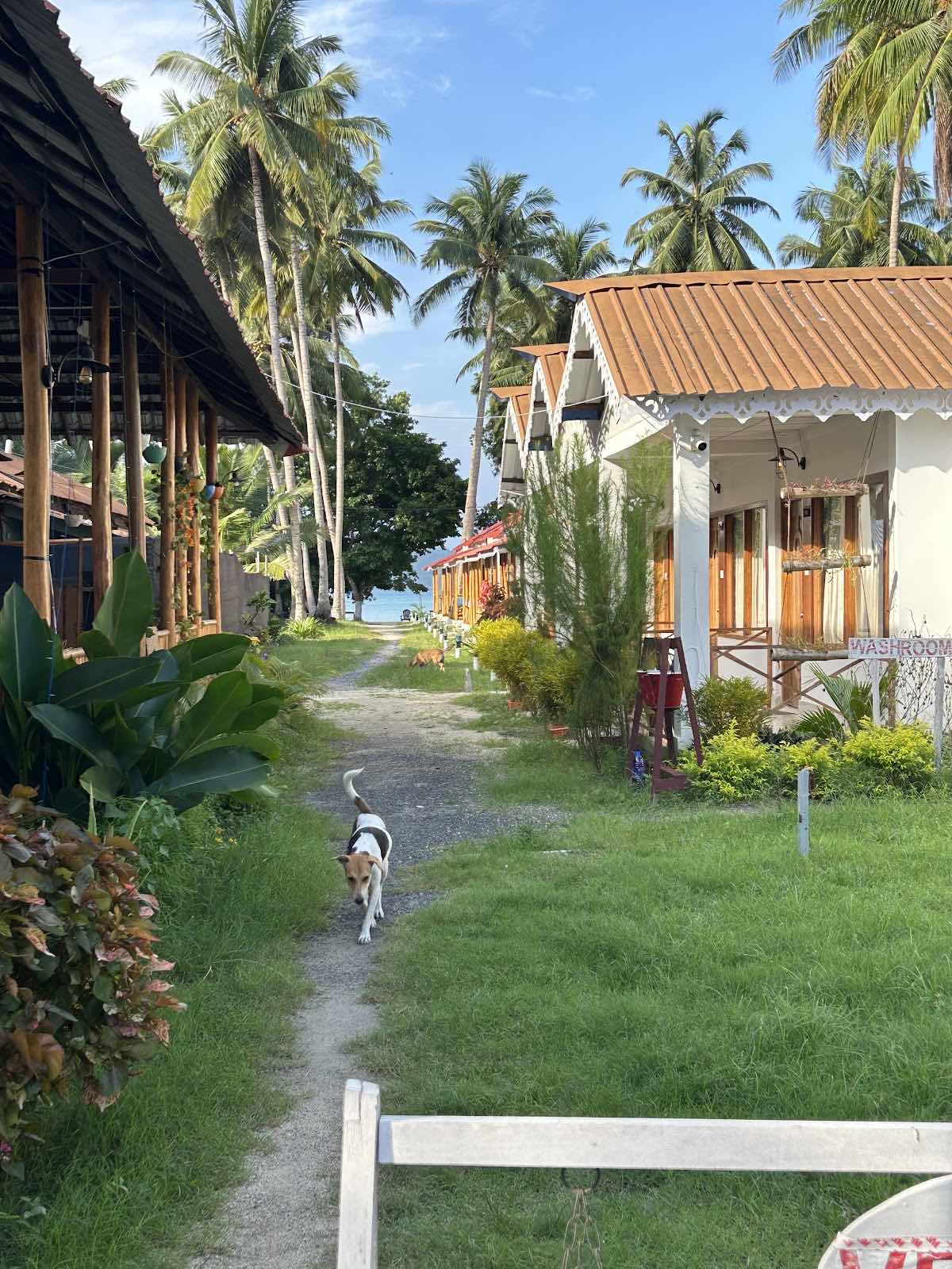 Travel Coo | Andaman photo 2