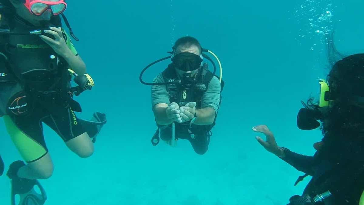 Tikehau plongée Diving center photo 3