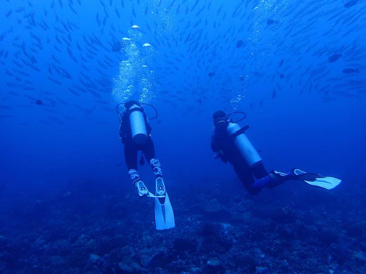 Tikehau plongée Diving center photo 5