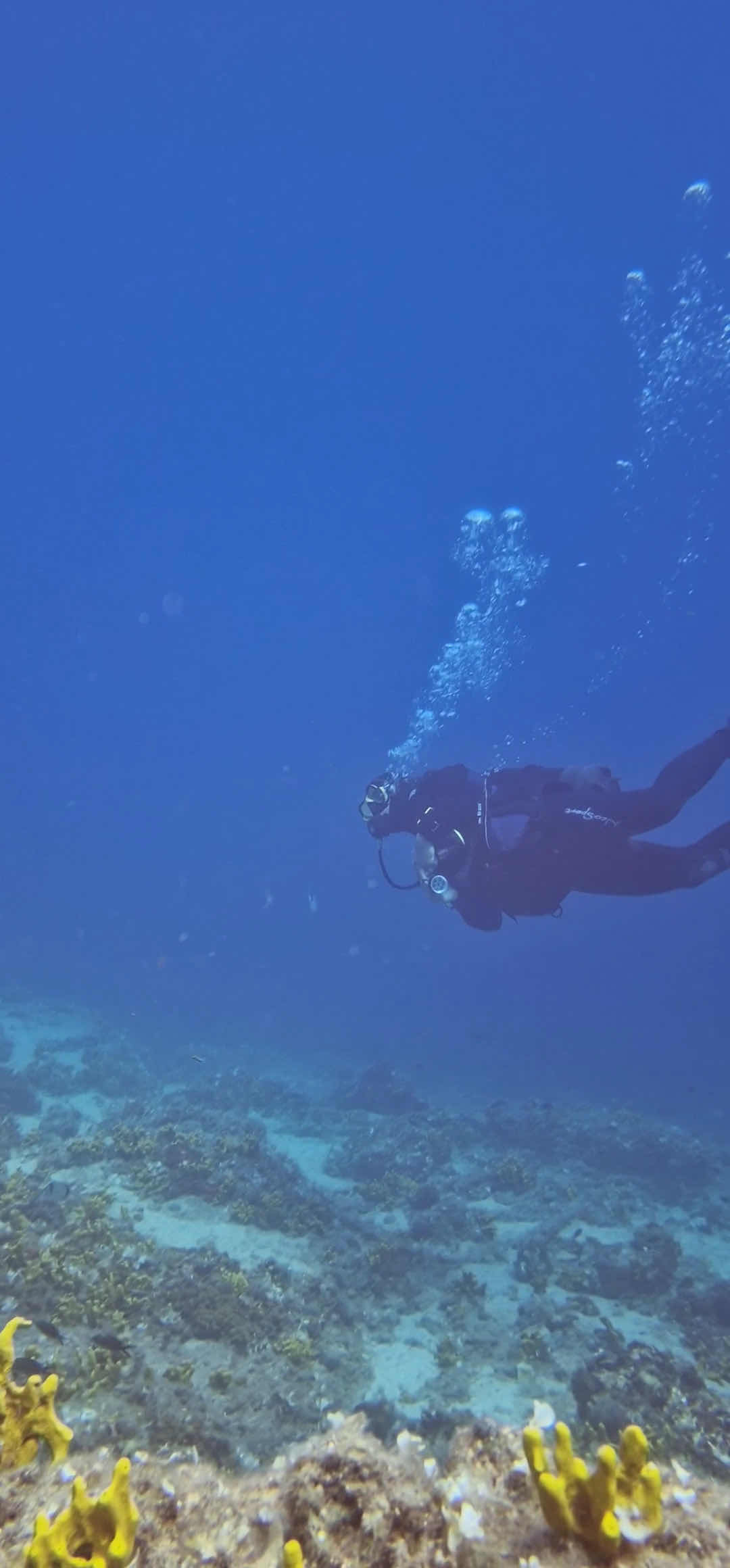 Draulik Diving Center photo 4