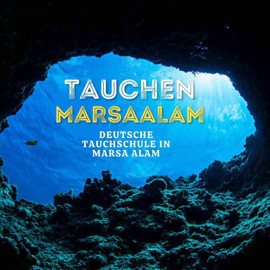 Tauchen Marsa Alam - Deutsche Tauchschule von Padi, Cmas, Ssi. photo 1