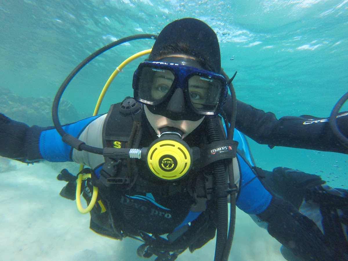 Tauchen Marsa Alam - Deutsche Tauchschule von Padi, Cmas, Ssi. photo 4